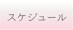 スケジュール